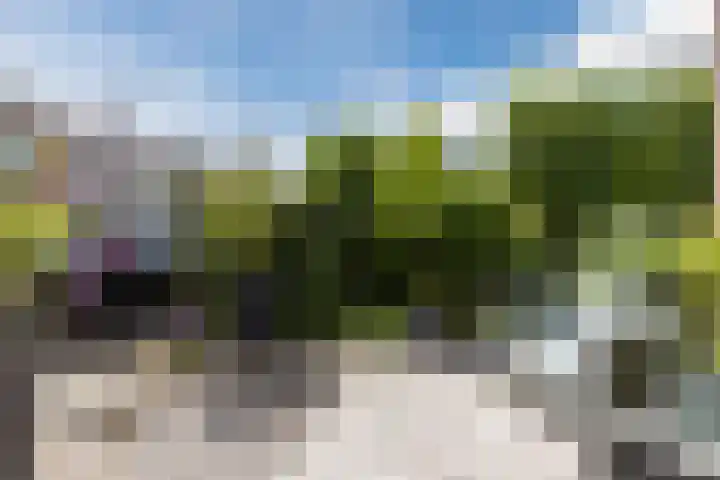 Arcellastraat 2 Amsterdam thumbnail 9