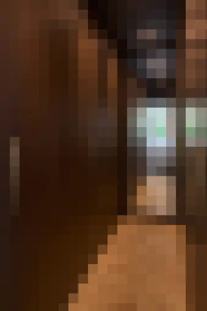 Arcenlaan 6 Helmond thumbnail 12