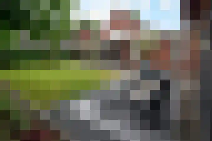 Arcenlaan 6 Helmond thumbnail 24