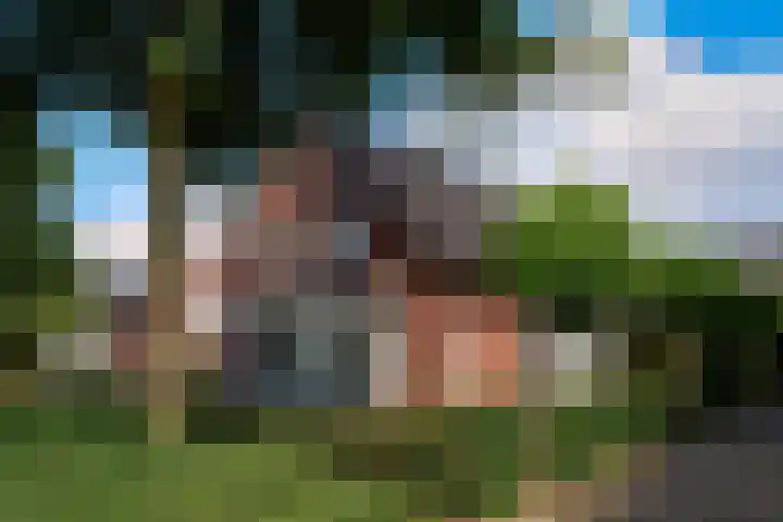 Arcenlaan 6 Helmond thumbnail 28