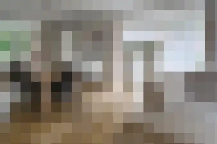 Arcenlaan 6 Helmond thumbnail 5