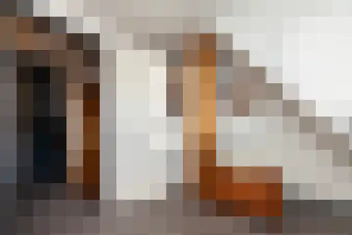 Arcenstraat 22 Rotterdam thumbnail 23