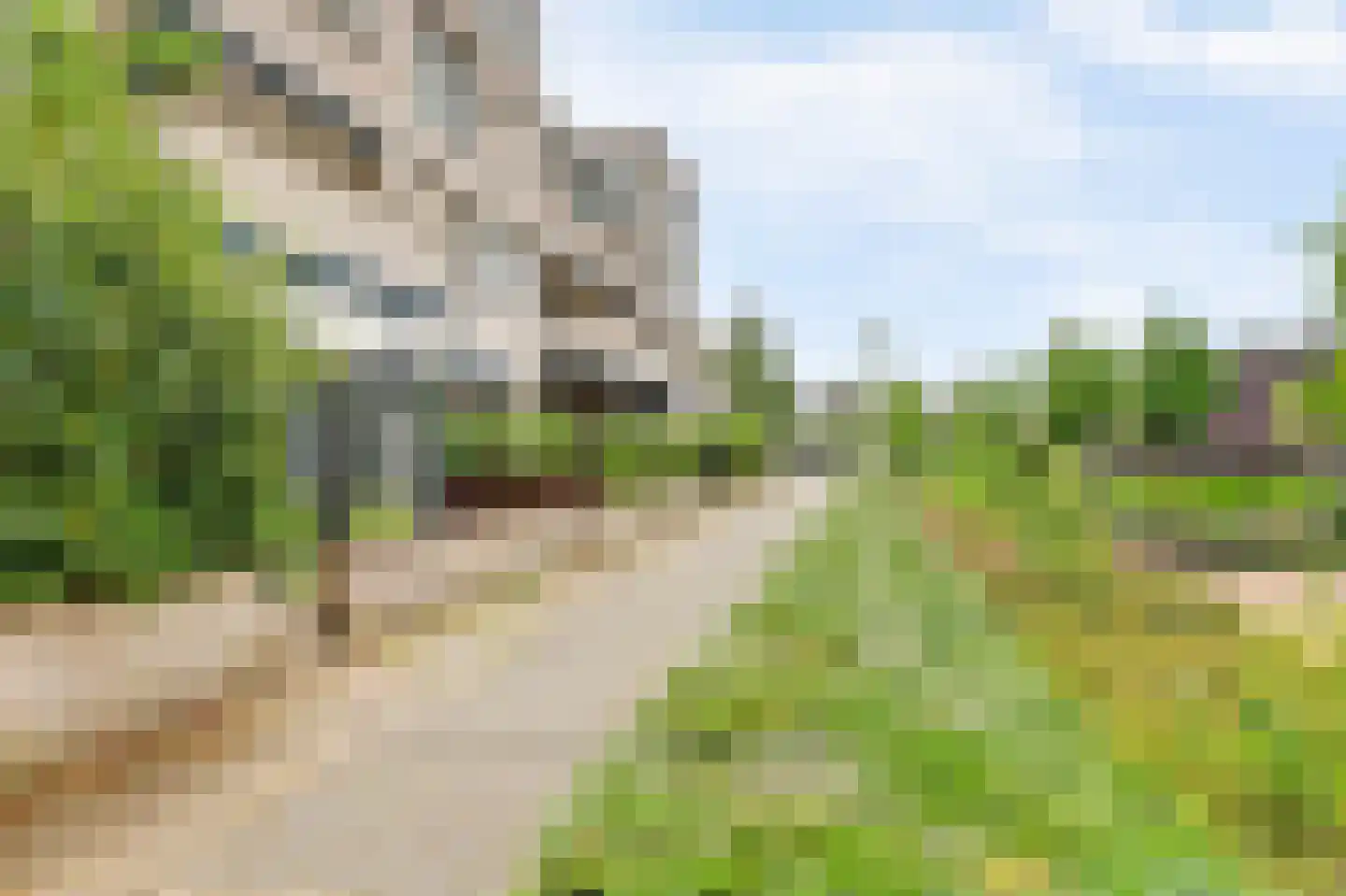Archangel 12 Leerdam thumbnail 37