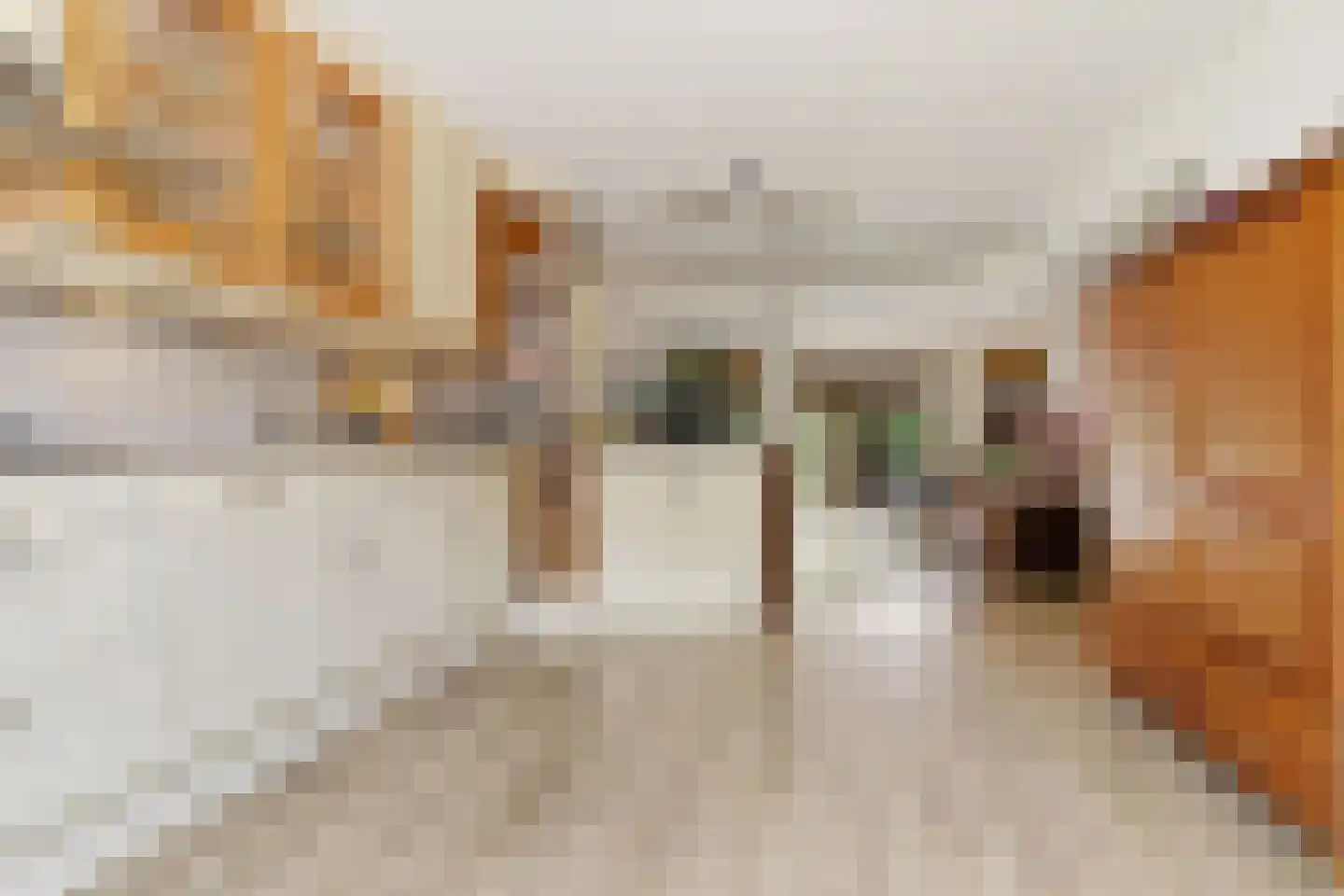 Archangelstraat 128 Zaandam thumbnail 13