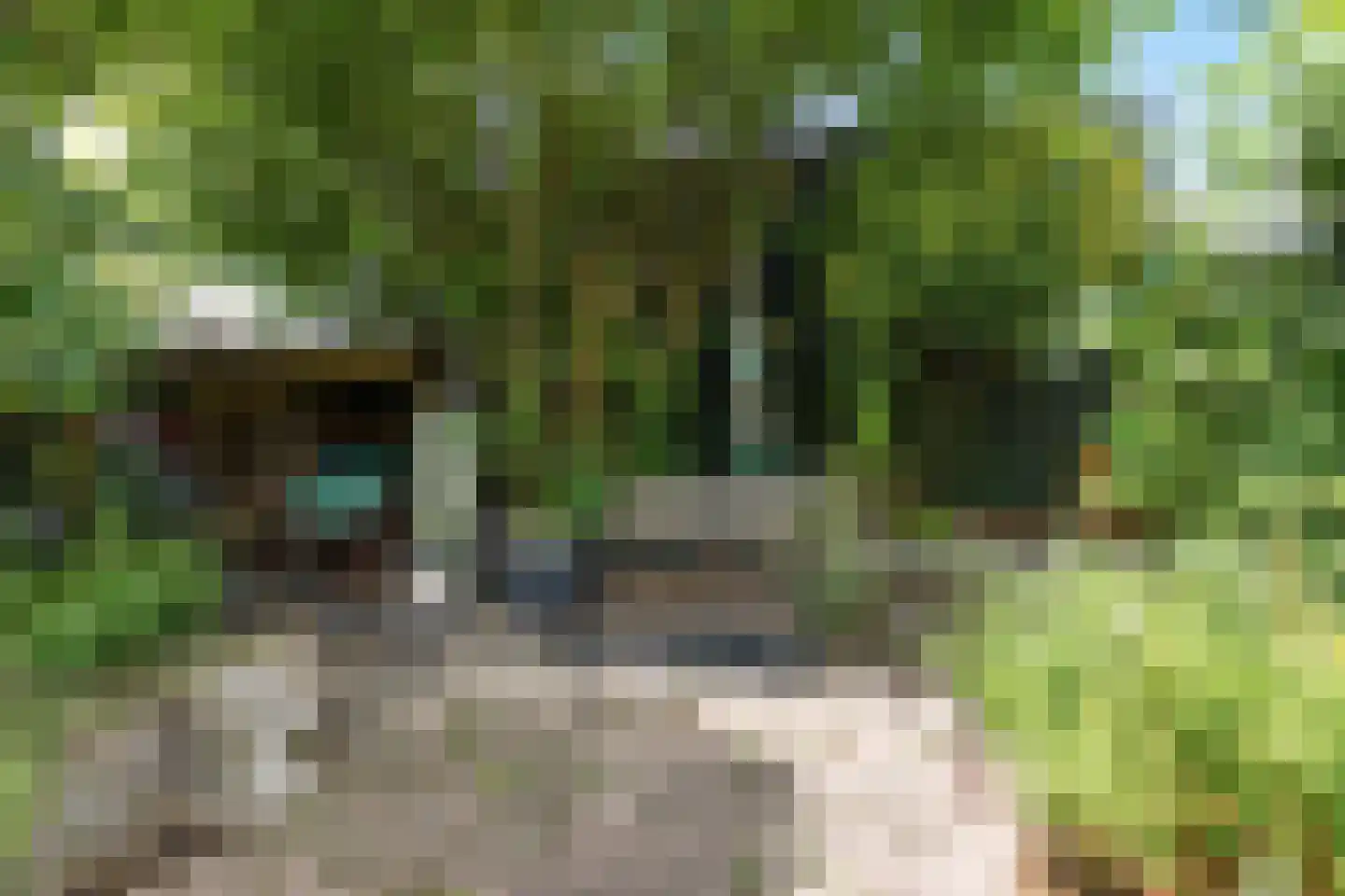 Archangelstraat 128 Zaandam thumbnail 25