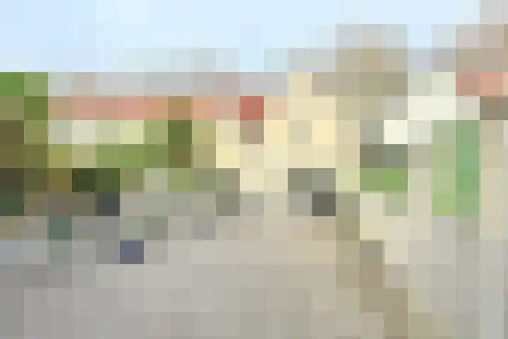 Archangelstraat 22 Zaandam thumbnail 30