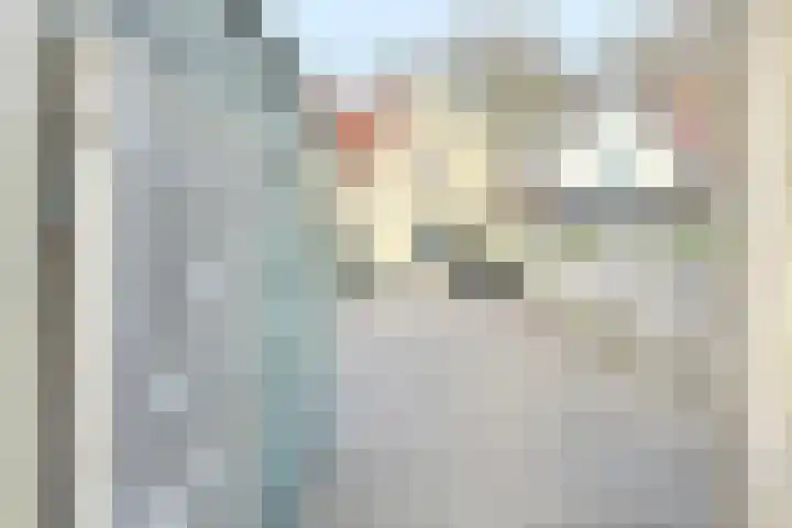 Archangelstraat 22 Zaandam thumbnail 31