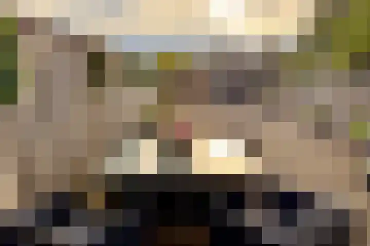 Archangelstraat 22 Zaandam thumbnail 4