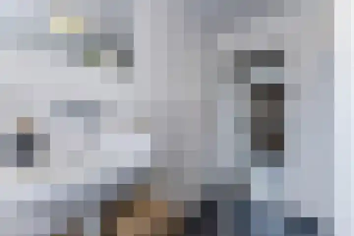 Archangelstraat 23 Zaandam thumbnail 33