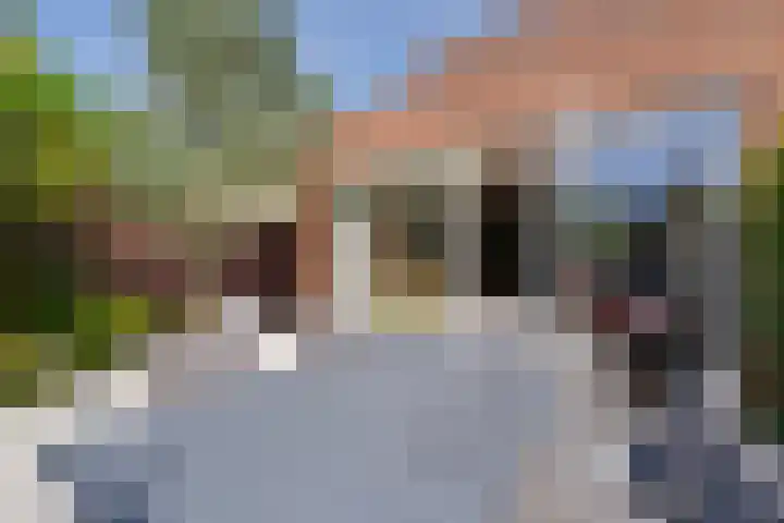 Archangelstraat 76 Zaandam thumbnail 34