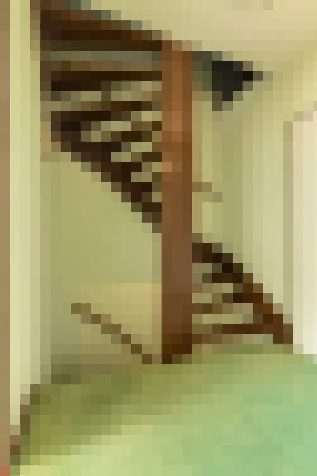 Archimedeslaan 38 Oosterhout thumbnail 26