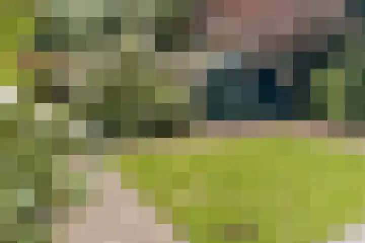 Archimedeslaan 50 H Amsterdam thumbnail 11