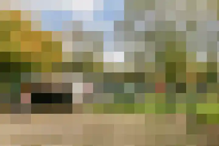 Archimedeslaan 50 H Amsterdam thumbnail 30