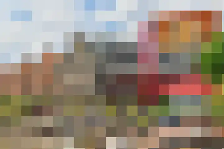 Archimedeslaan 50 H Amsterdam thumbnail 33