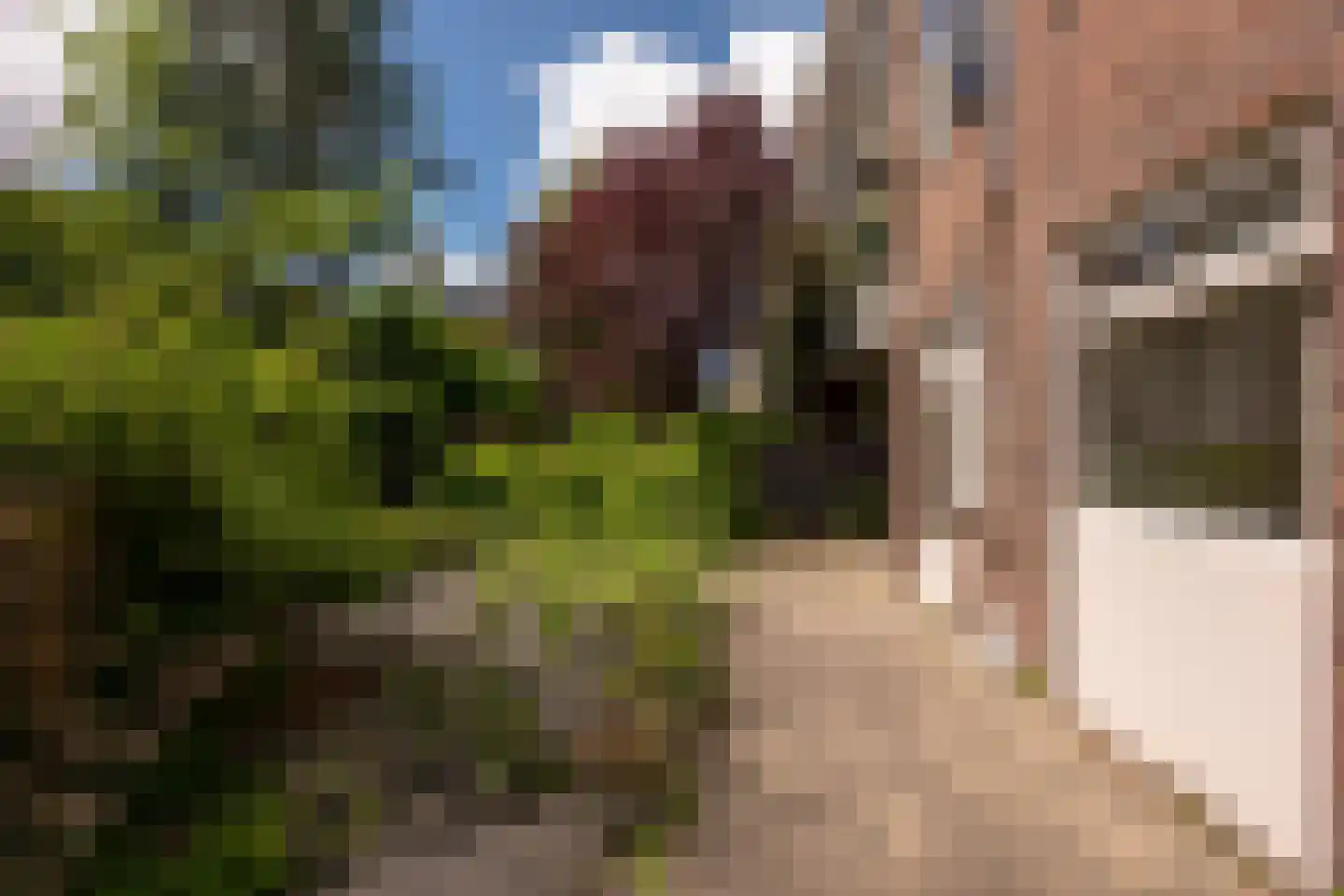 Archimedeslaan 54 1 Amsterdam thumbnail 24