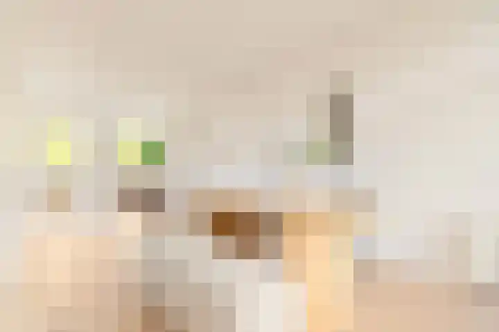 Archimedeslaan 55 in Amsterdam
