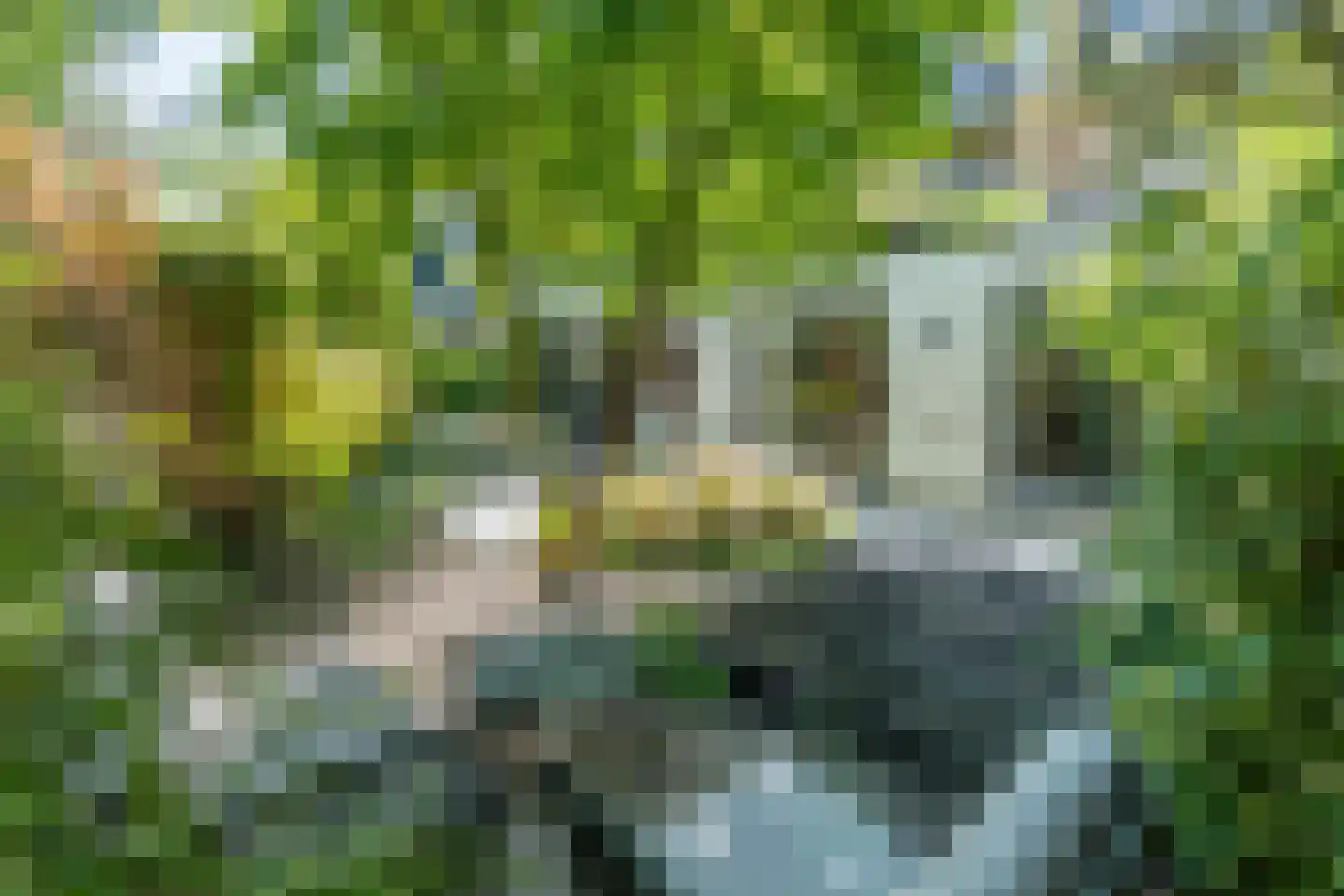 Archimedesplantsoen 35 1 Amsterdam thumbnail 4