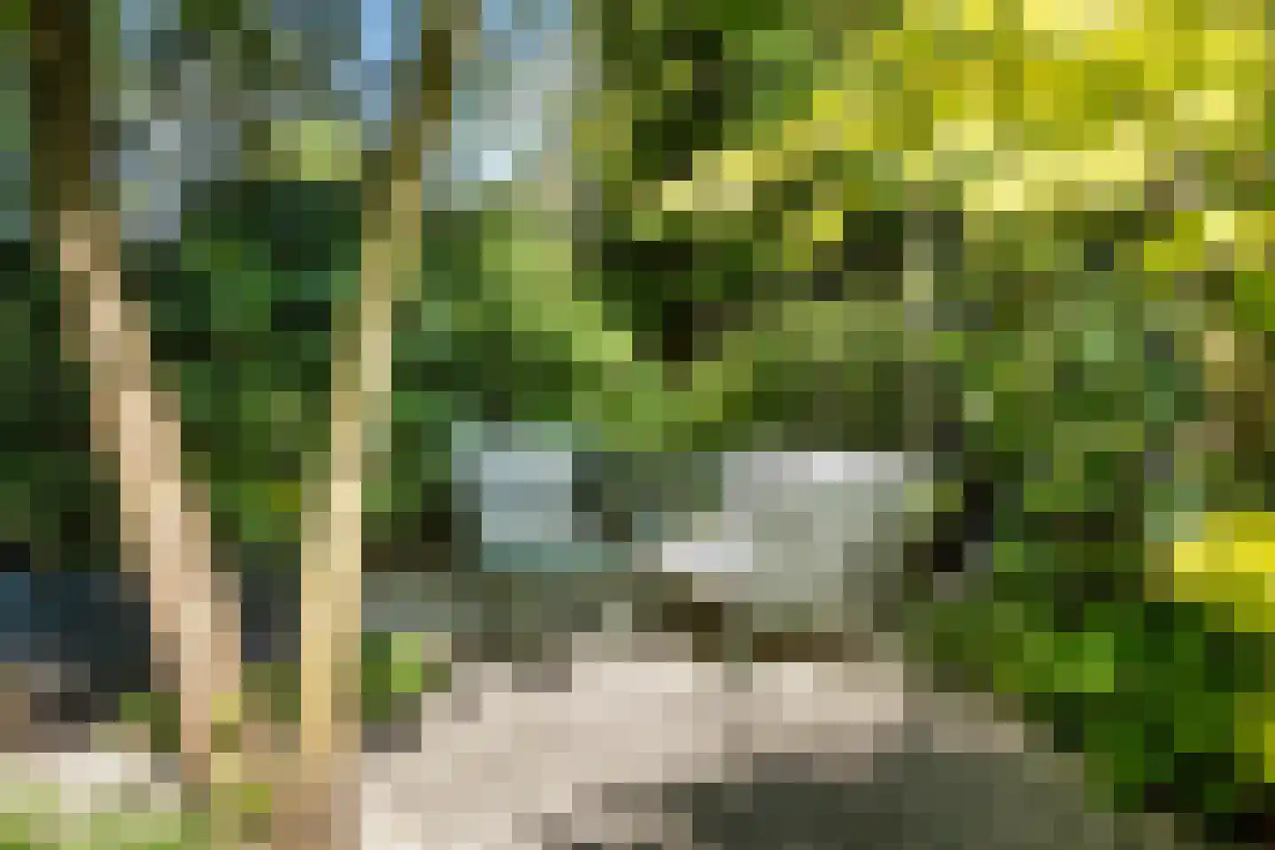 Archimedesplantsoen 35 1 Amsterdam thumbnail 42