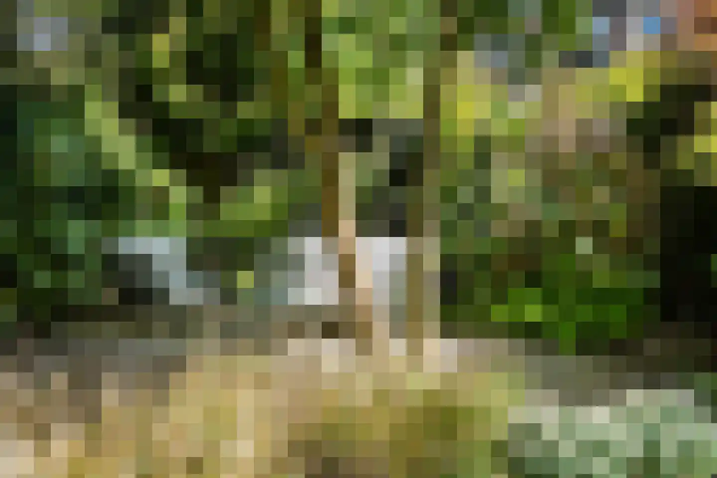 Archimedesplantsoen 35 H Amsterdam thumbnail 38