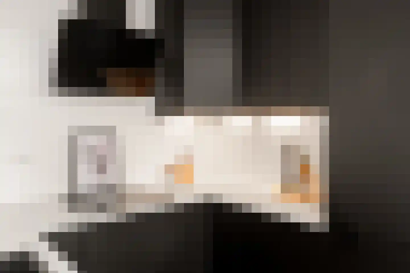 Archimedesplantsoen 45 Amsterdam thumbnail 16