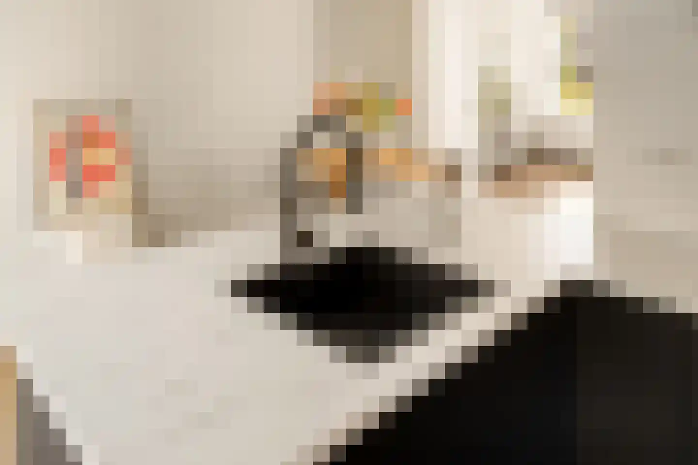 Archimedesplantsoen 45 Amsterdam thumbnail 19