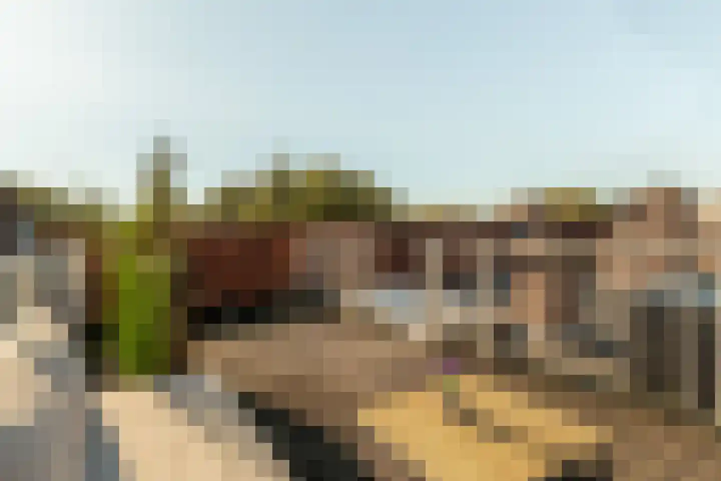 Archimedesplantsoen 45 Amsterdam thumbnail 38