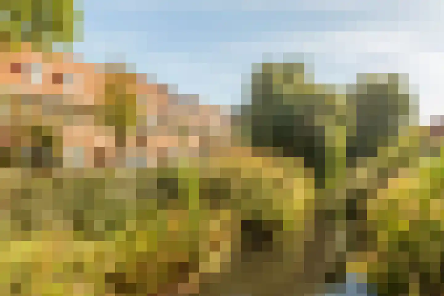 Archimedesplantsoen 45 Amsterdam thumbnail 41