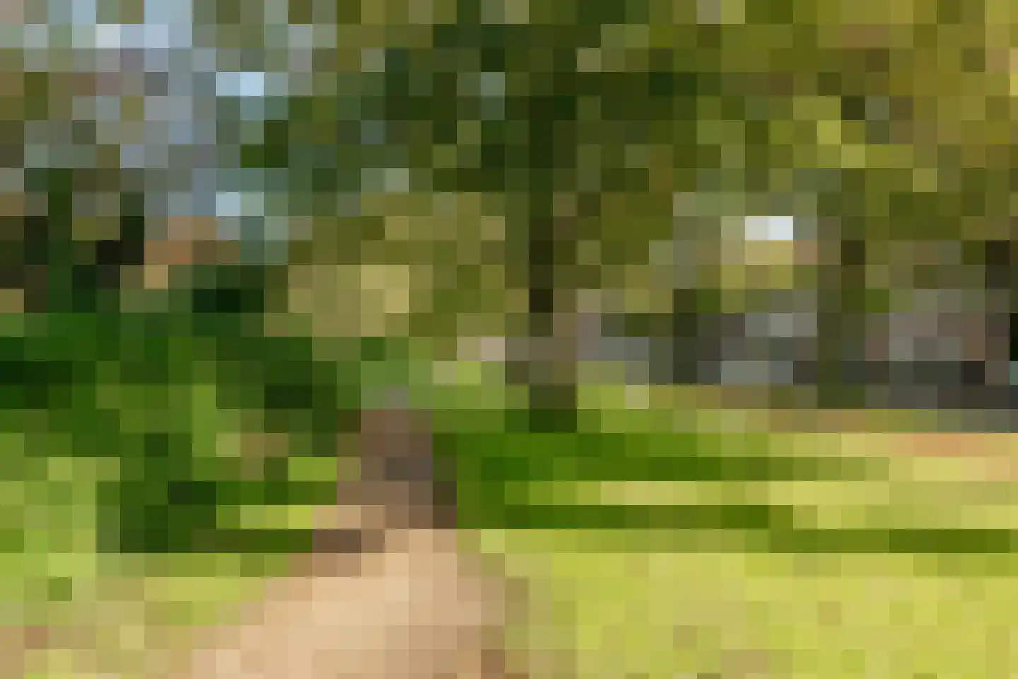 Archimedesplantsoen 45 Amsterdam thumbnail 46