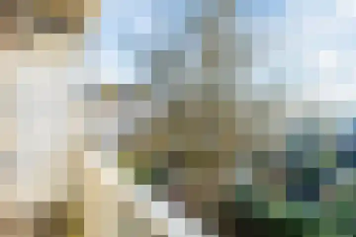Archimedesplantsoen 56 1 Amsterdam thumbnail 25