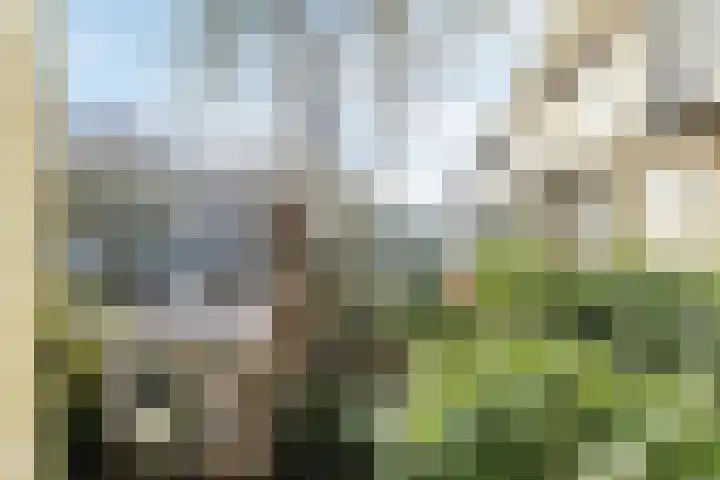 Archimedesplantsoen 56 1 Amsterdam thumbnail 26
