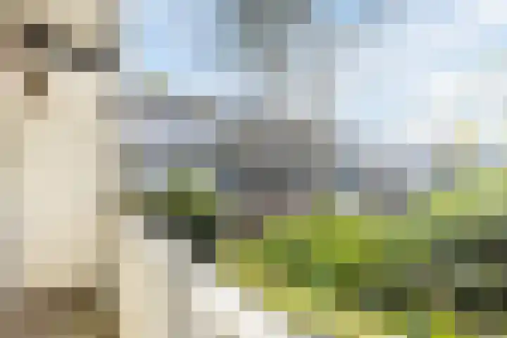 Archimedesplantsoen 56 1 Amsterdam thumbnail 30