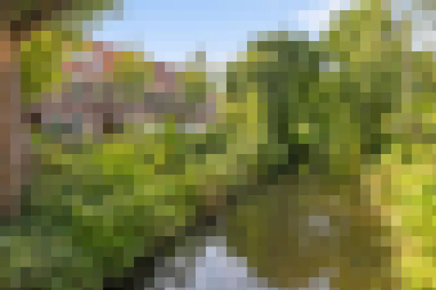 Archimedesplantsoen 62 1 Amsterdam thumbnail 30