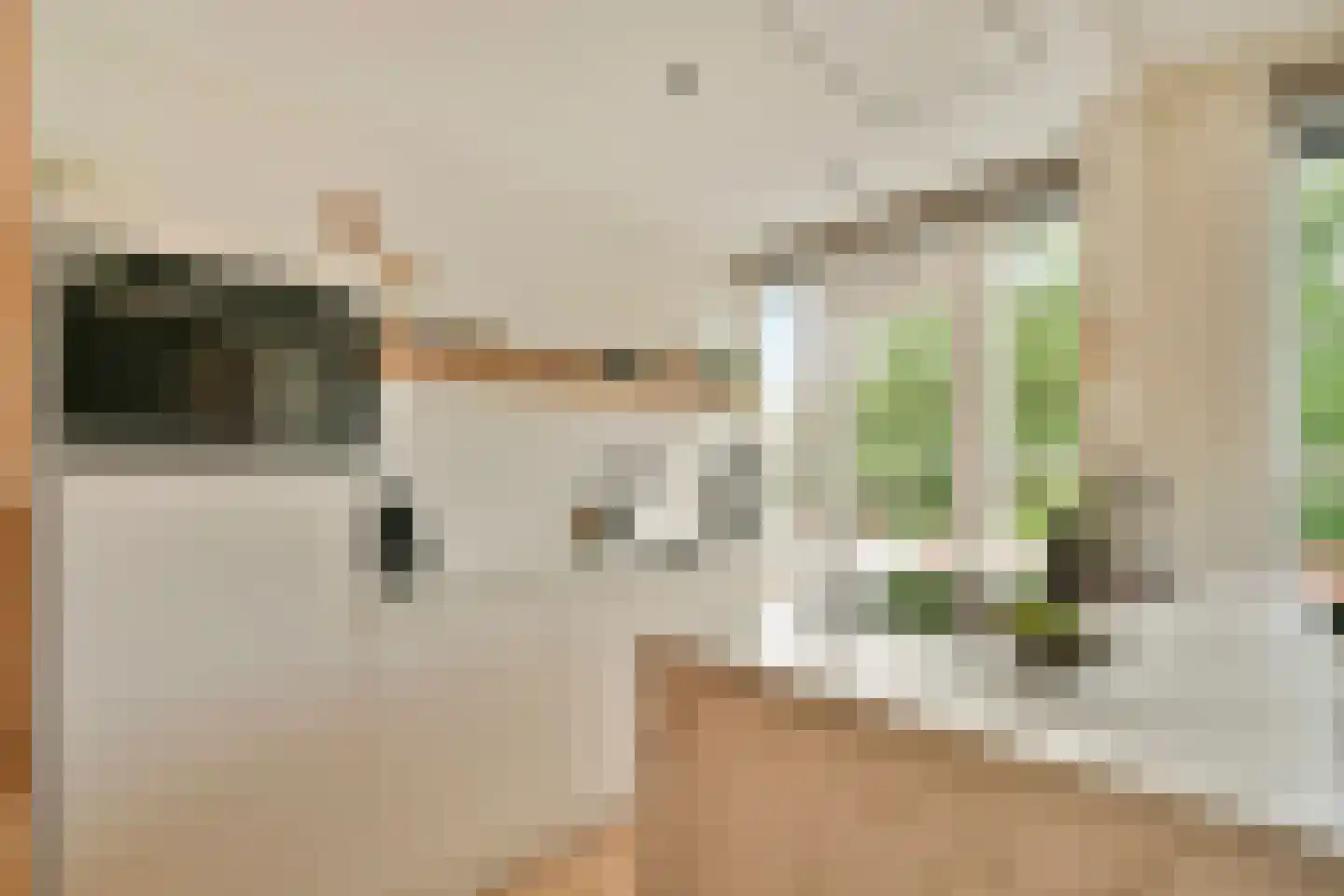 Archimedesplantsoen 70 2 Amsterdam thumbnail 10