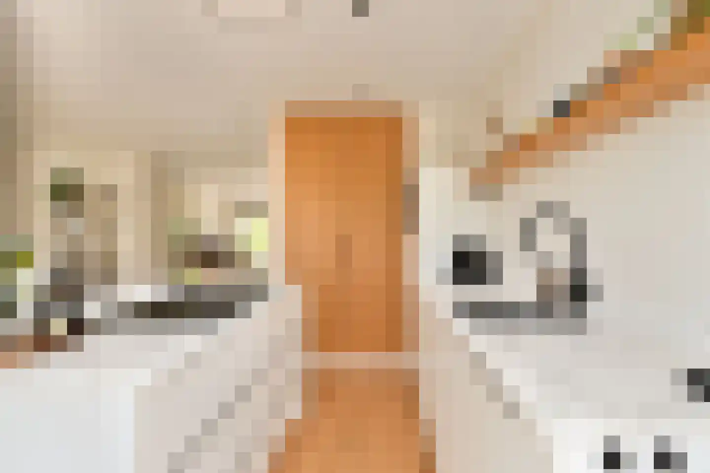 Archimedesplantsoen 70 2 Amsterdam thumbnail 15