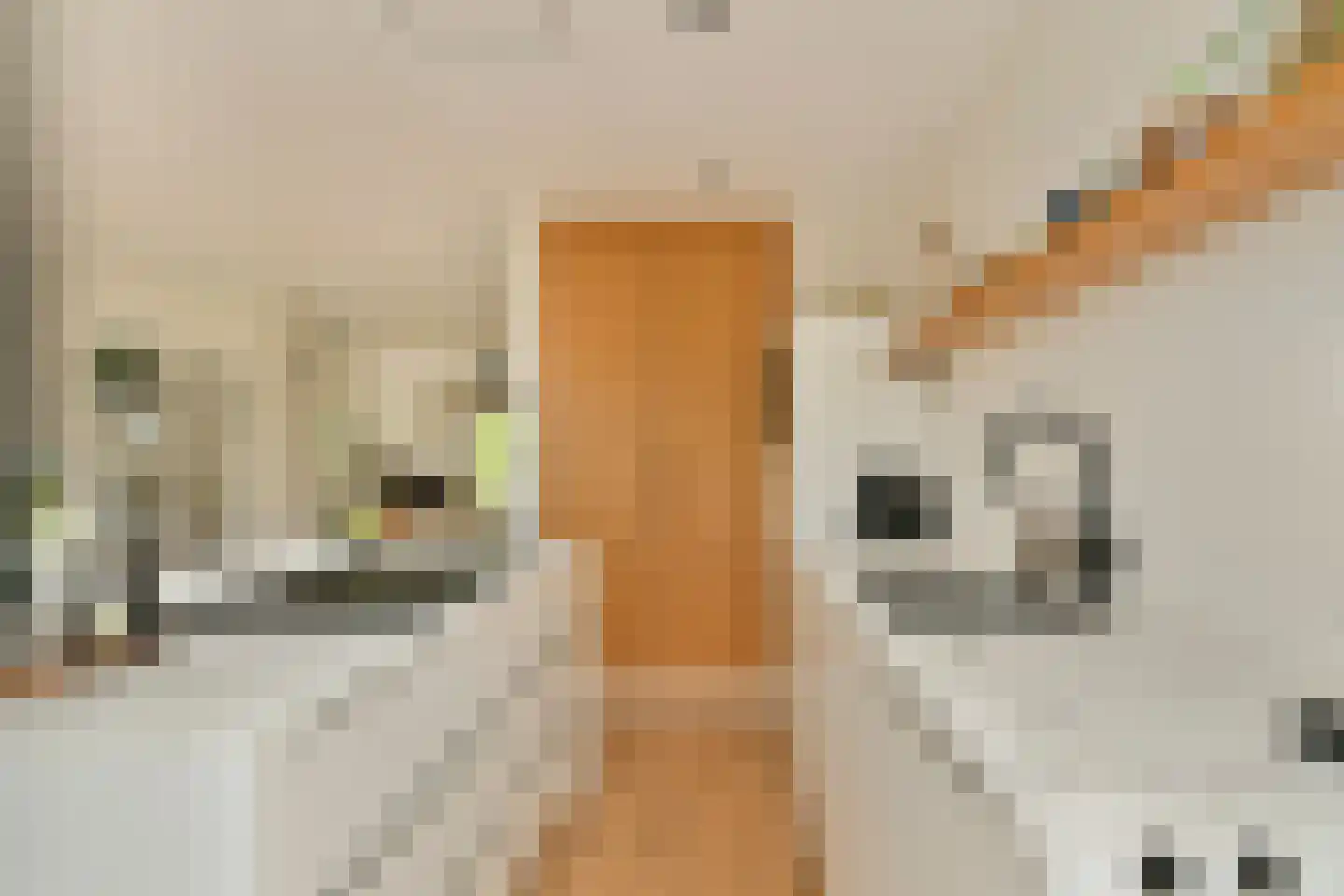 Archimedesplantsoen 70 2 Amsterdam thumbnail 15