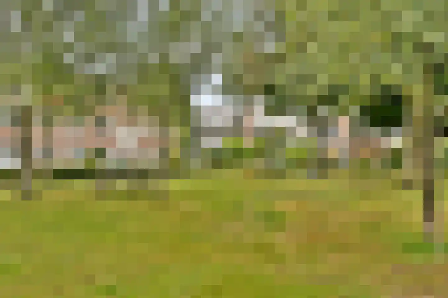 Archimedesplantsoen 70 2 Amsterdam thumbnail 19