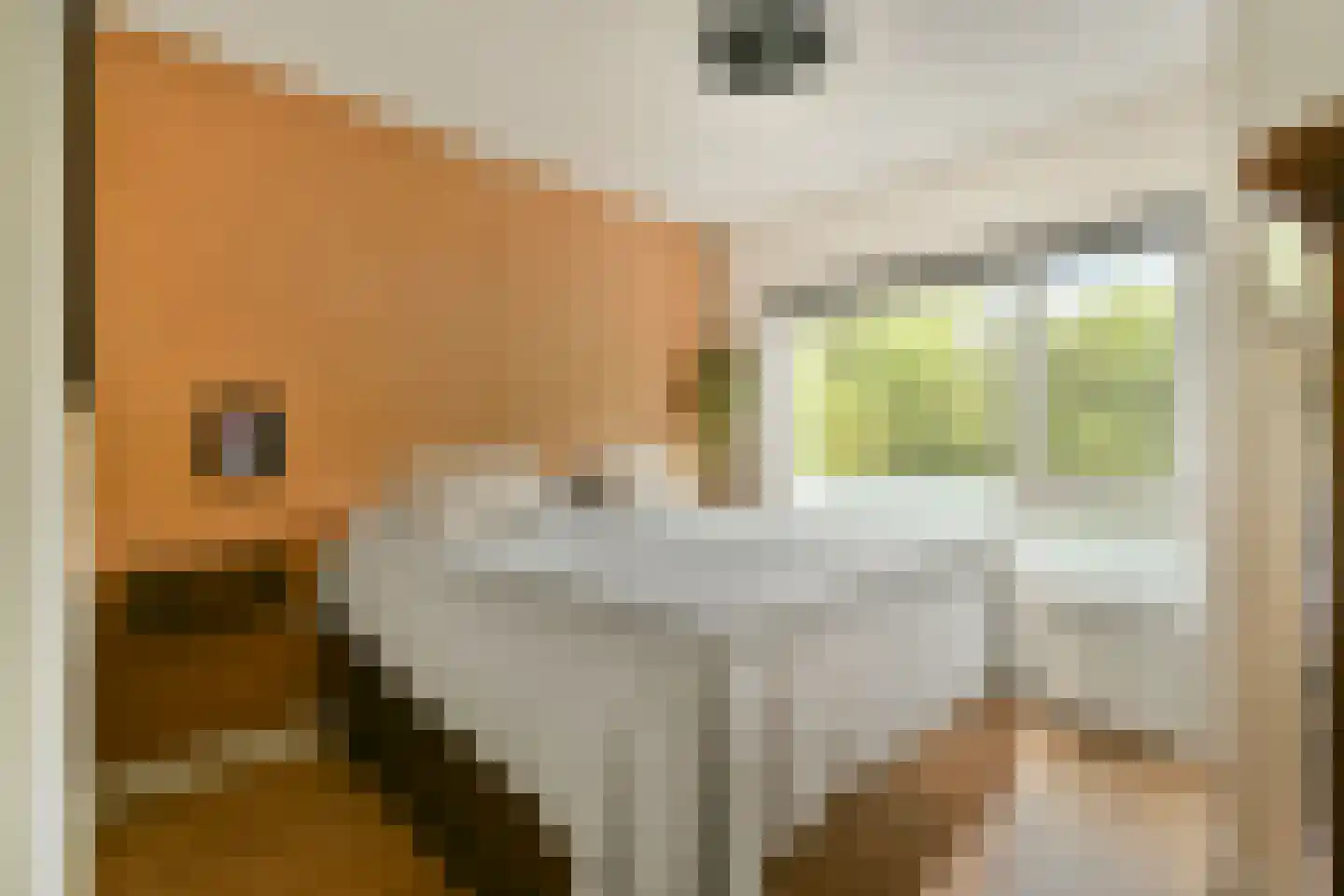 Archimedesplantsoen 70 2 Amsterdam thumbnail 20