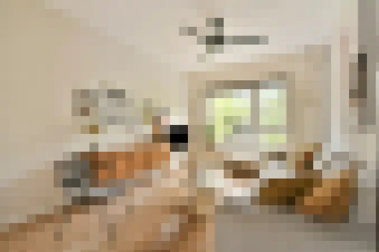 Archimedesplantsoen 70 2 Amsterdam thumbnail 5