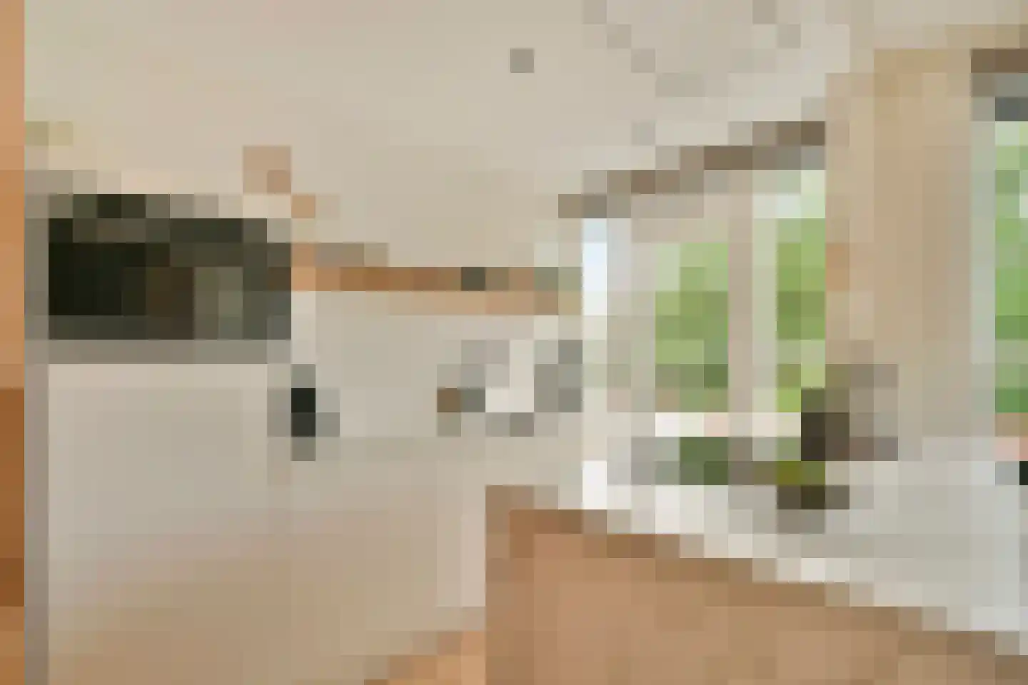Archimedesplantsoen 70 2 Amsterdam thumbnail 9