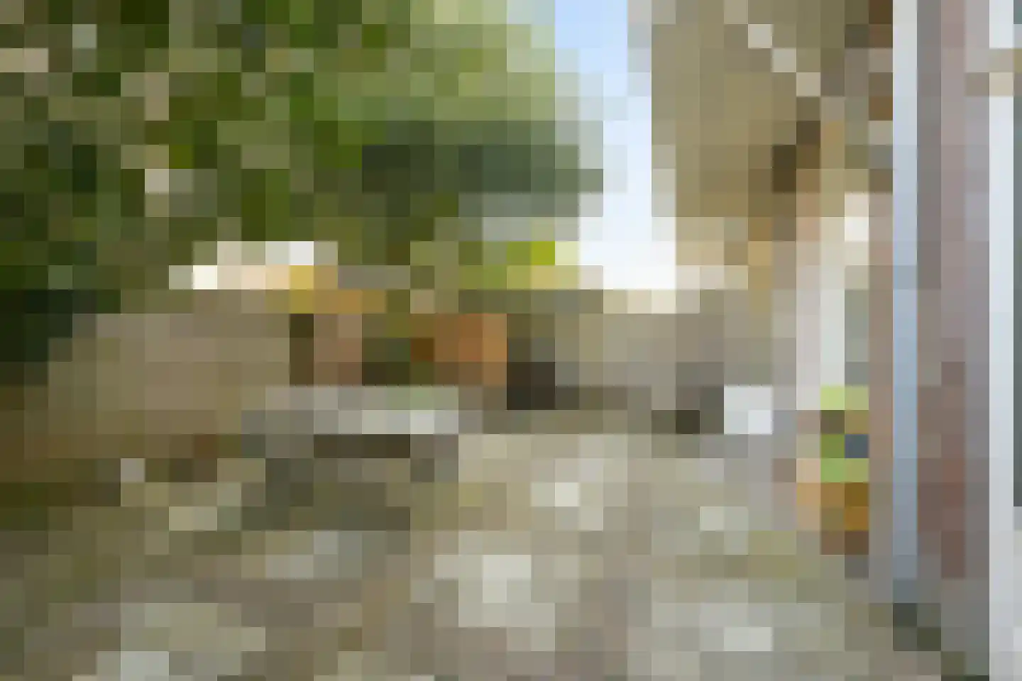 Archimedesstraat 101 Den Haag thumbnail 28
