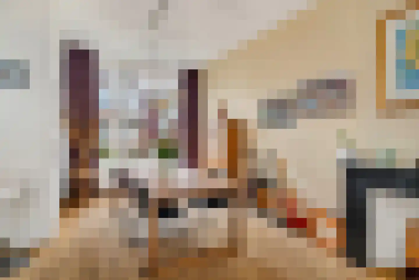 Archimedesstraat 113 Den Haag thumbnail 18