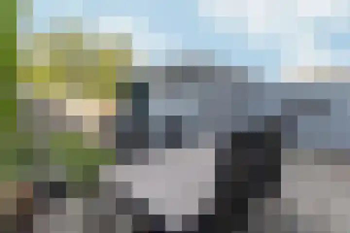 Archimedesstraat 14 Nijmegen thumbnail 33