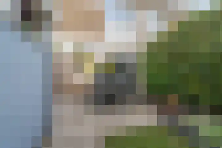 Archimedesstraat 14 Nijmegen thumbnail 36