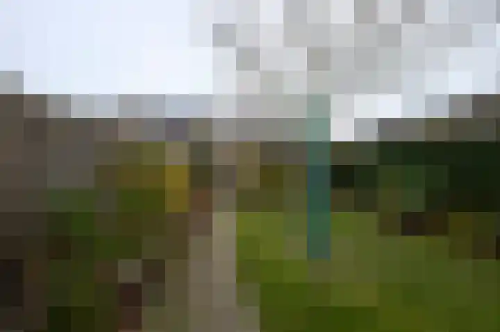 Archimedesstraat 17 Terneuzen thumbnail 13