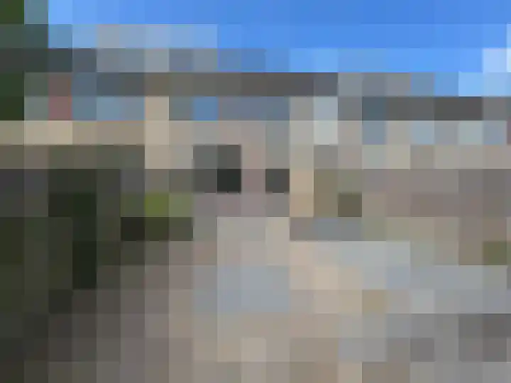 Archimedesstraat 19 Terneuzen thumbnail 20