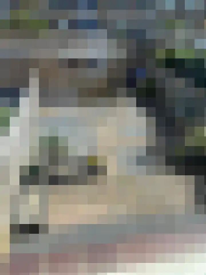 Archimedesstraat 19 Terneuzen thumbnail 21