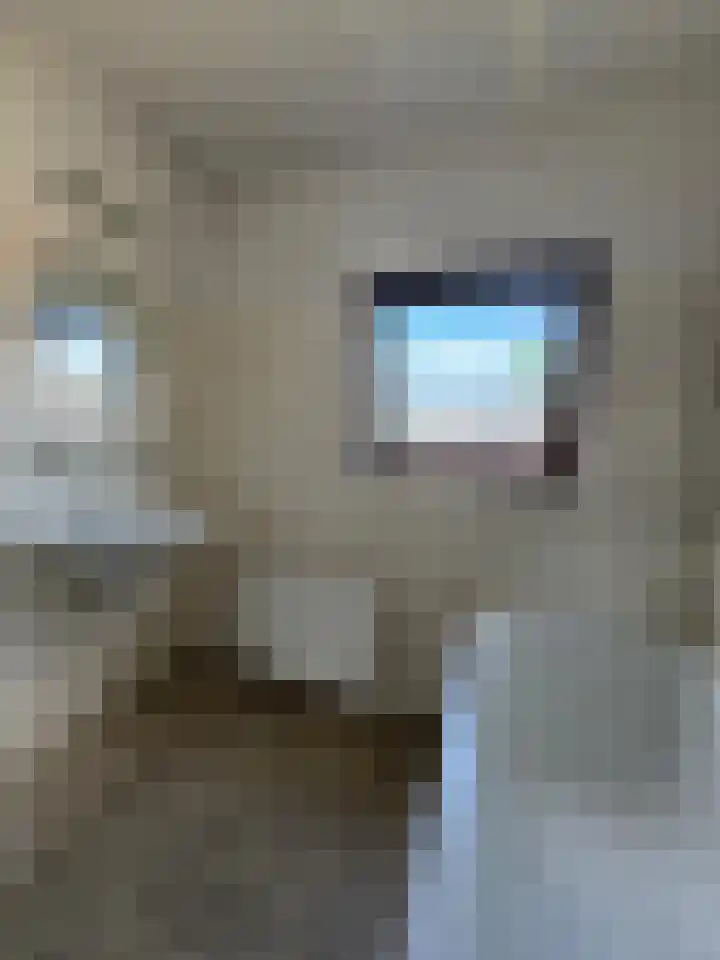 Archimedesstraat 19 Terneuzen thumbnail 8