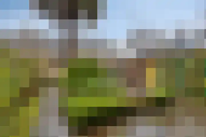 Archimedesstraat 28 Terneuzen thumbnail 16