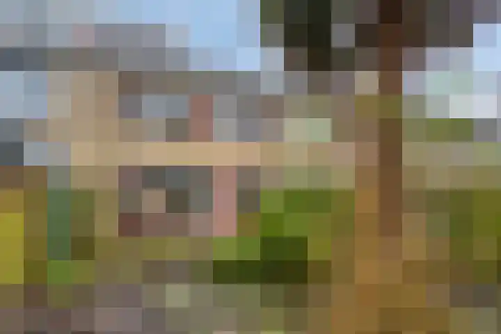 Archimedesstraat 28 Terneuzen thumbnail 17