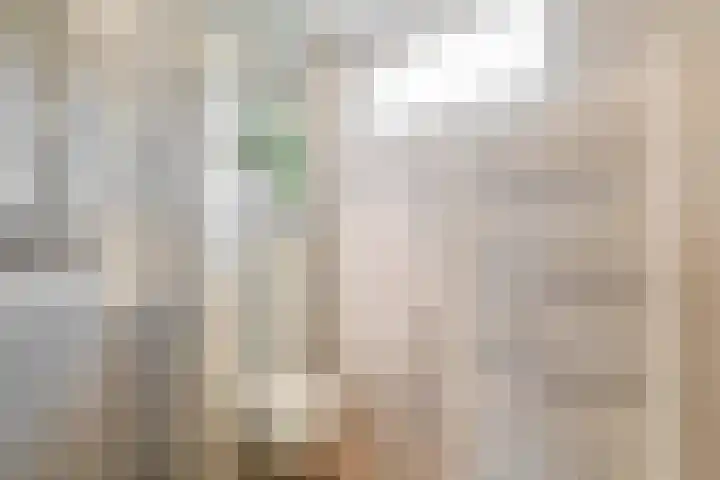 Archimedesstraat 31 Schoonhoven thumbnail 30